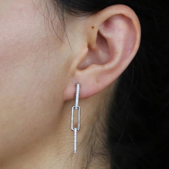 Iced Out CZ Long Link chain Earrings - Picture 2 of 4